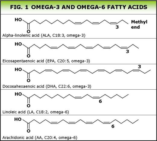 Omega fatty acids UK